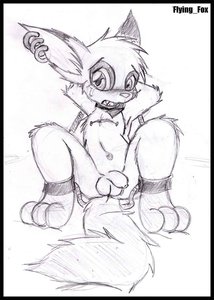 1110449_FlyingFox_1198174805.flyingfox_teh_critter_is_back_copy.jpg