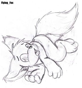 1110452_FlyingFox_1202816308.flyingfox_pose_copy.jpg