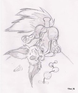 1110465_FlyingFox_1262994766.flyingfox_carby_solosketch.jpg