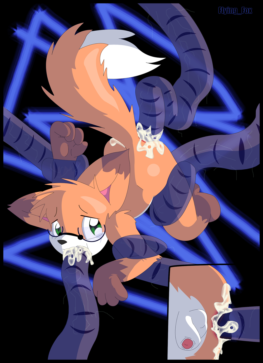 1113103_FlyingFox_1198246570.flyingfox_kippy_copysmall.png