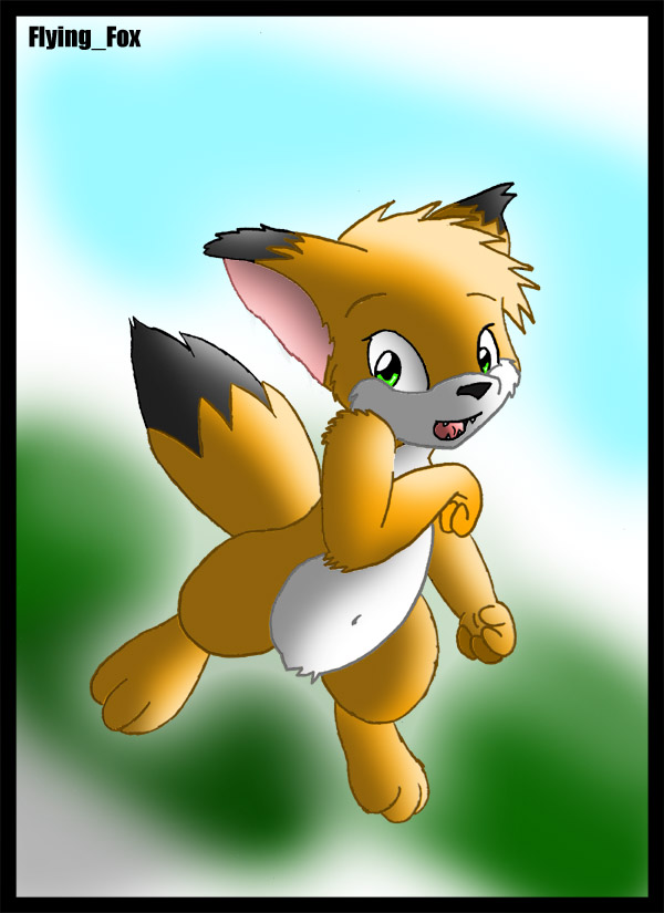 1113105_FlyingFox_1157316244.flyingfox_cutefox_copy.jpg