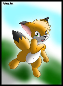 1113105_FlyingFox_1157316244.flyingfox_cutefox_copy.jpg