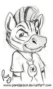 1131239_pandapaco_80_gustaff_zebra.jpg