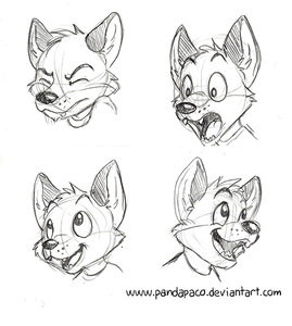 1131242_pandapaco_83biro_expresiones.jpg