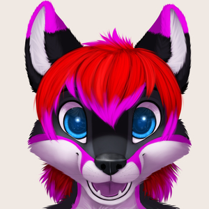 Shaider Fox
