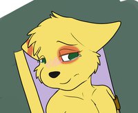 Mottled Fox gets cauterised