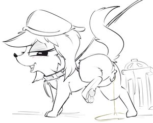 Zoe Doing Dog Stuff