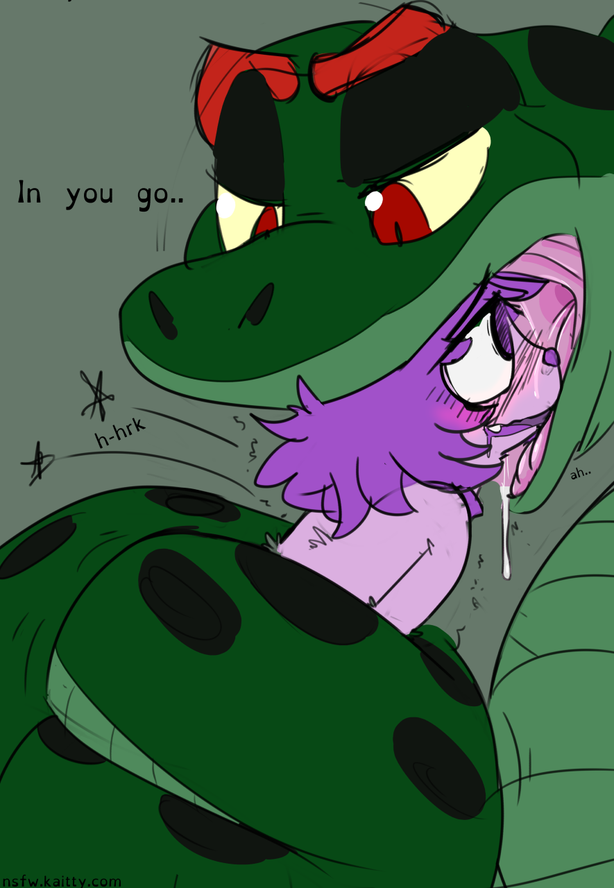 1154143_Kaittycat_kt_tacokurt_solxkaitty2.png