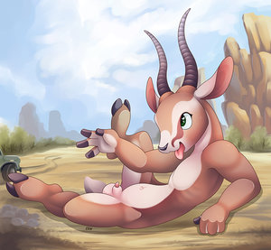 Gazelle Safari