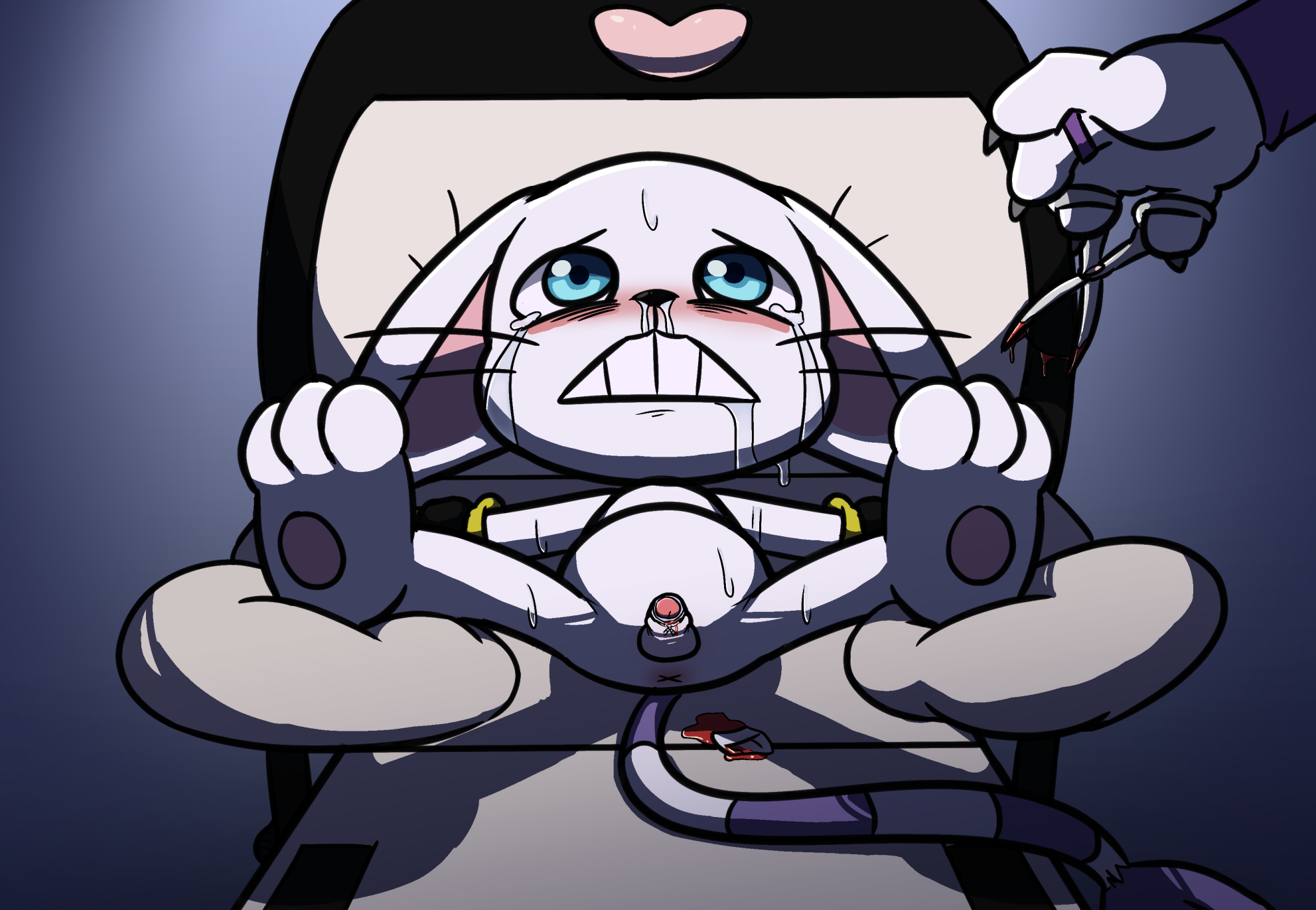1163567_Vladimir_1148904_intest_-_gatomon_male_circumcision.png