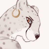 the cheetah prowls