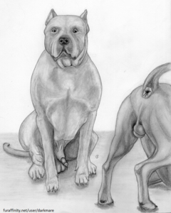 Photobombed (graphite)