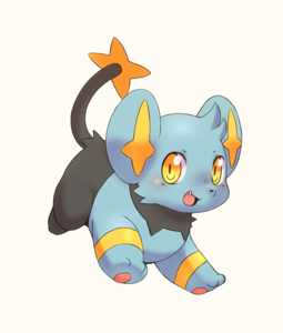 Shinx