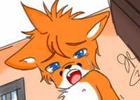 What happens to a naughty Fox