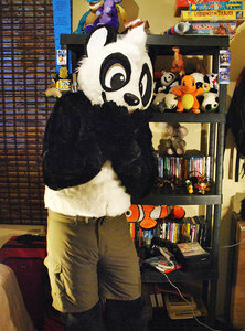 My fursuit.