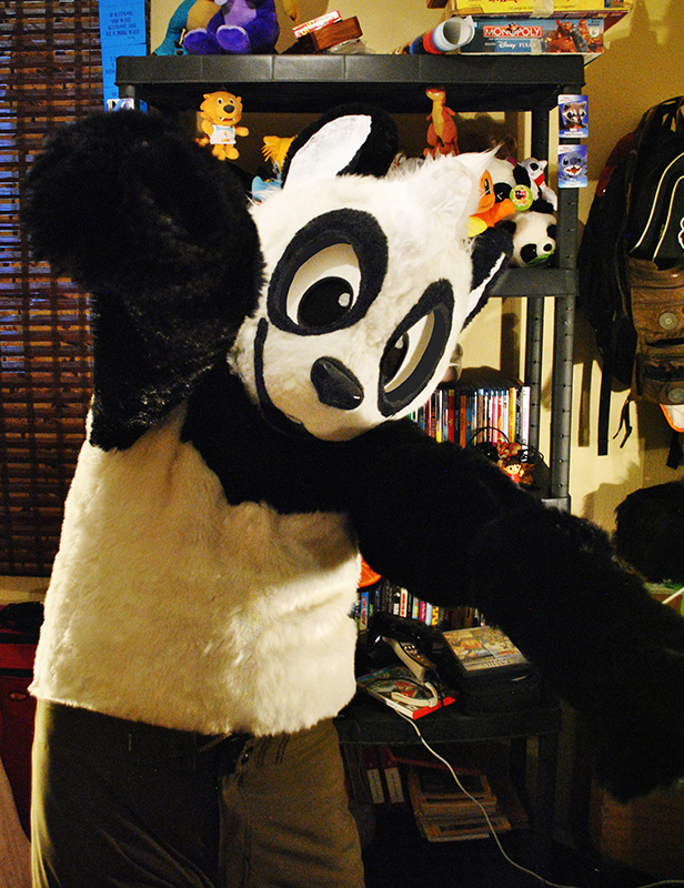 1198526_pandapaco_ib2.jpg