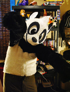 1198526_pandapaco_ib2.jpg