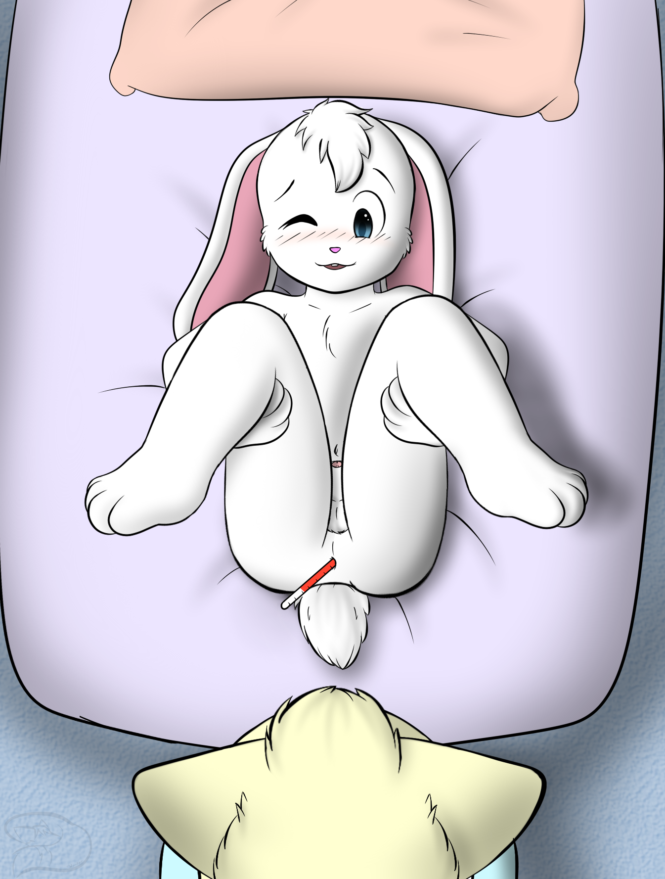 1199434_WinterFox_curious1.png