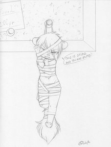 That's Not How Shibari Works