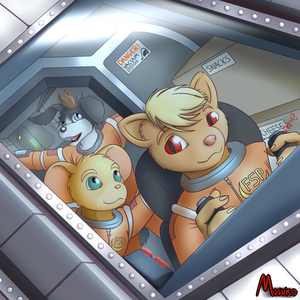 Furball Space Program (art)