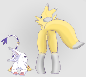 Gatomon + Renamon