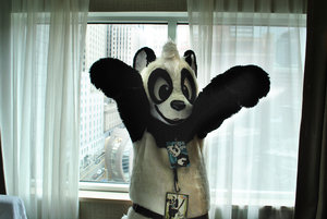 1219150_pandapaco_ac__386_.jpg