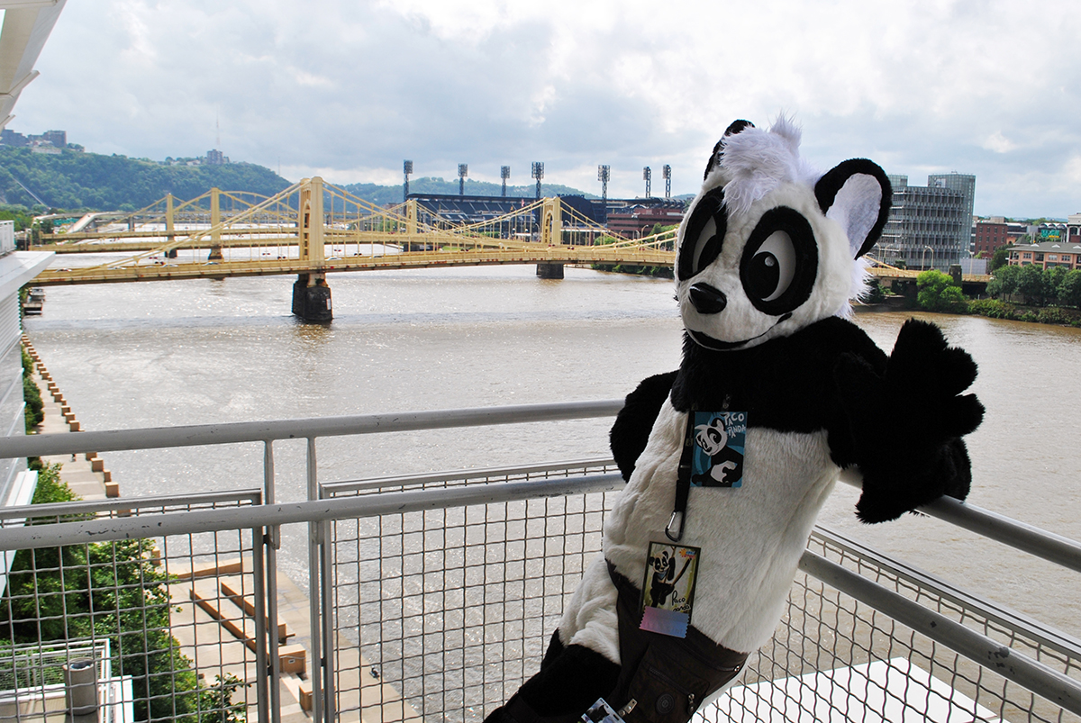 1219151_pandapaco_ac__392_.jpg