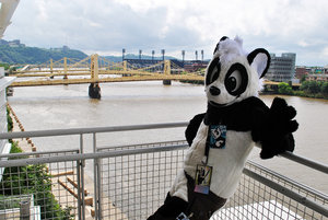 1219151_pandapaco_ac__392_.jpg