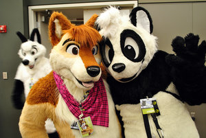 1219156_pandapaco_ac__524_.jpg