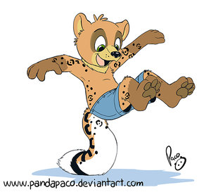 1223562_pandapaco_116andy.jpg