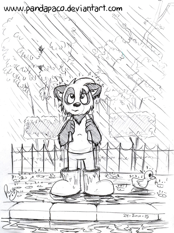 1223565_pandapaco_119lluvia.jpg
