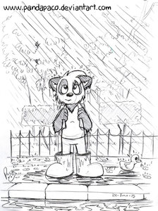 1223565_pandapaco_119lluvia.jpg