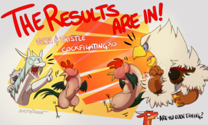 Cock Fighting?
