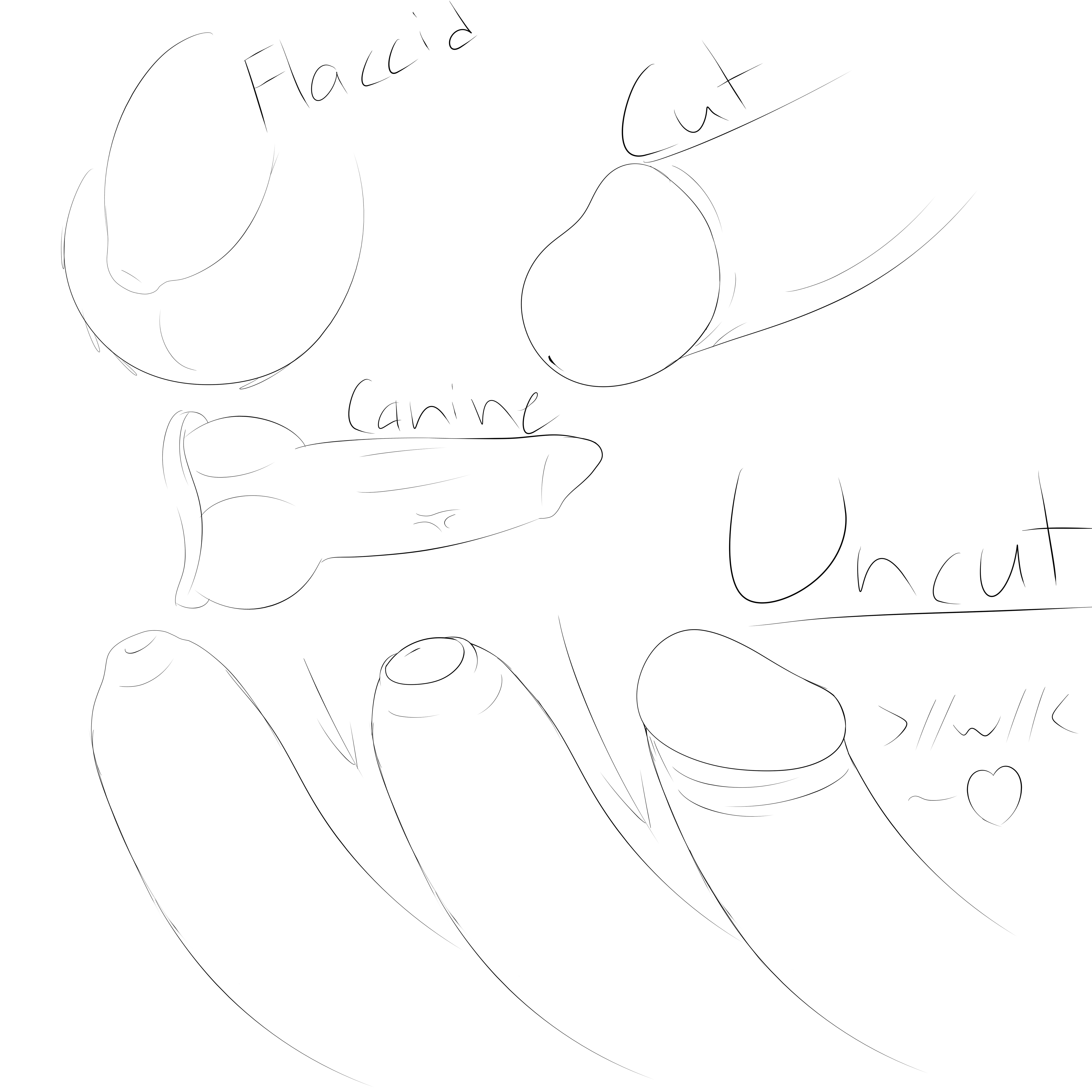 1243264_WinterFox_peeeens.png