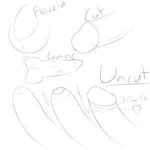 1243264_WinterFox_peeeens.png