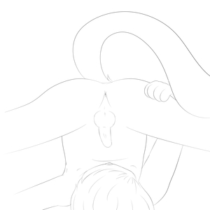 1243266_WinterFox_upsidedown.png