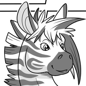 Zebra San
