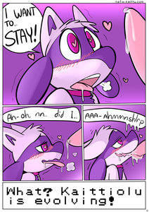 Kaittiolu 11