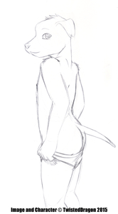 Sean Puppy (Naughty Stuff)