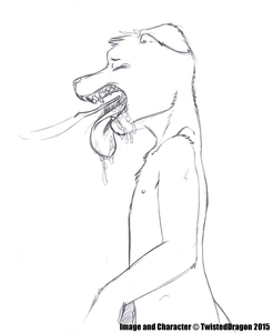 Sean Puppy (Punishment)
