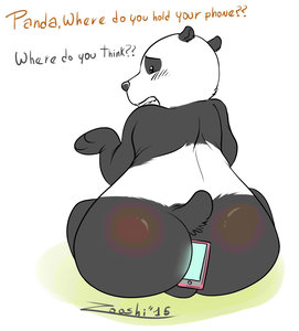 Panda's Phone