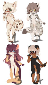 Cub Adopts Auction:Closed