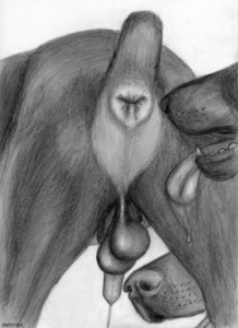 Seduction