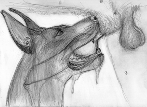 Getting used to the taste (WIP)