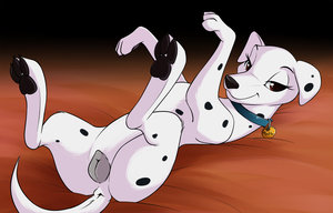 Perdita 