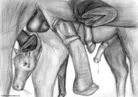 Unbridled