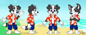 Roni ref sheet
