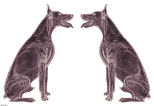 Autoromantic