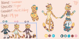 Sumat ref sheet