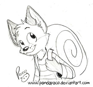 1323946_pandapaco_145biro_caracol.jpg